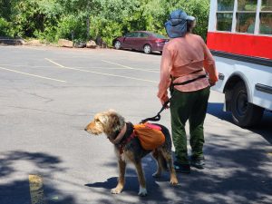 Getting ready to resume the Trail