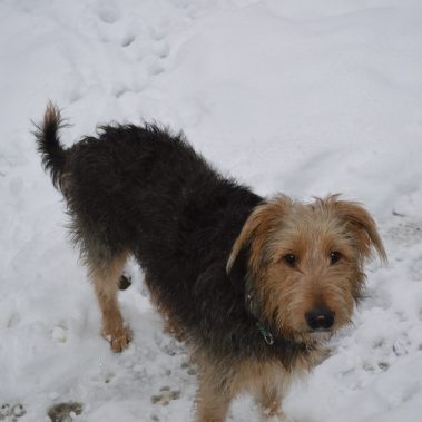 walking in the winter