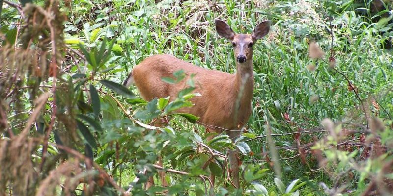 old 2 the wonders of life