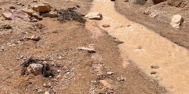 672432832 the wonders you will see while hiking