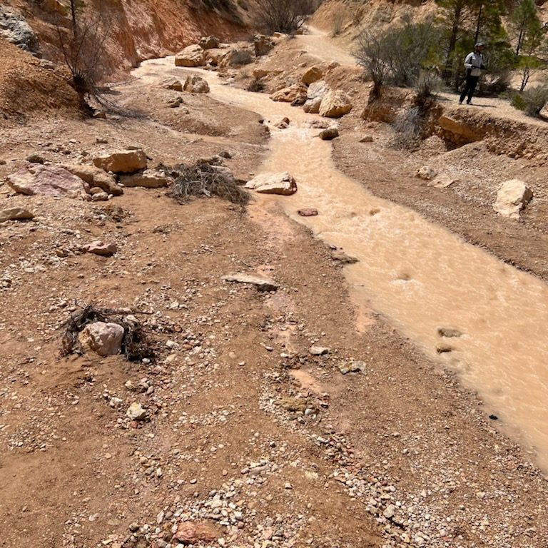 the wonders you will see while hiking