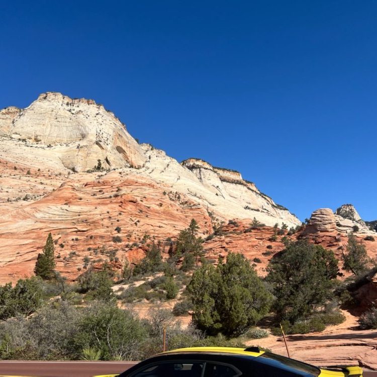 we have a lot to see