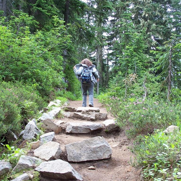 backpacking on the trail