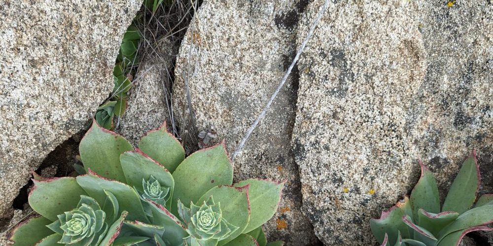 PXL_20230319_171448081