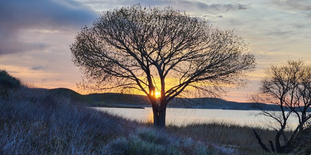 20230408_064121 (1) Daydreams