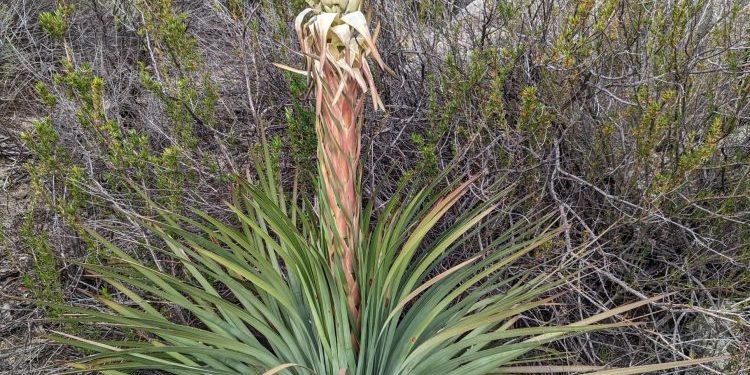 PXL_20230319_172822334