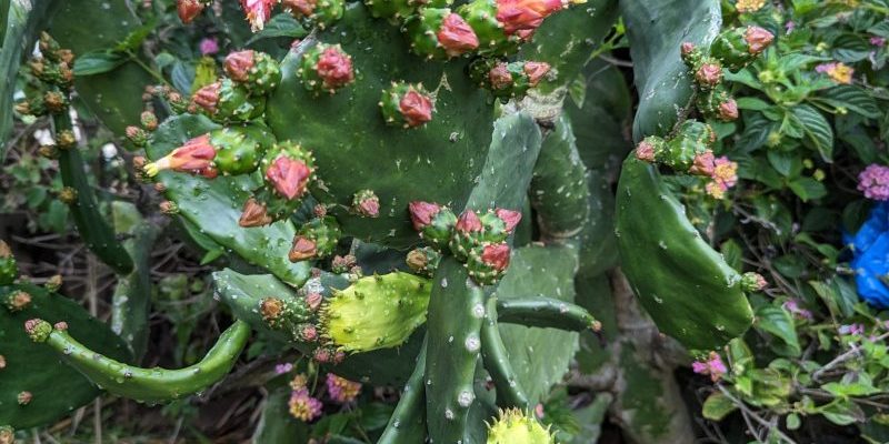 PXL_20230316_154918052