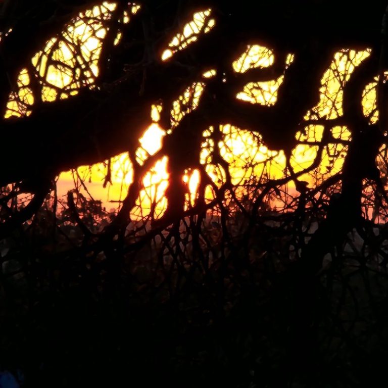 watching a sunrise cannot wait.