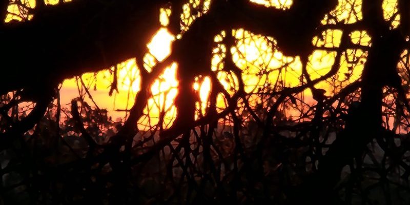 20230217_173537 watching a sunrise cannot wait.