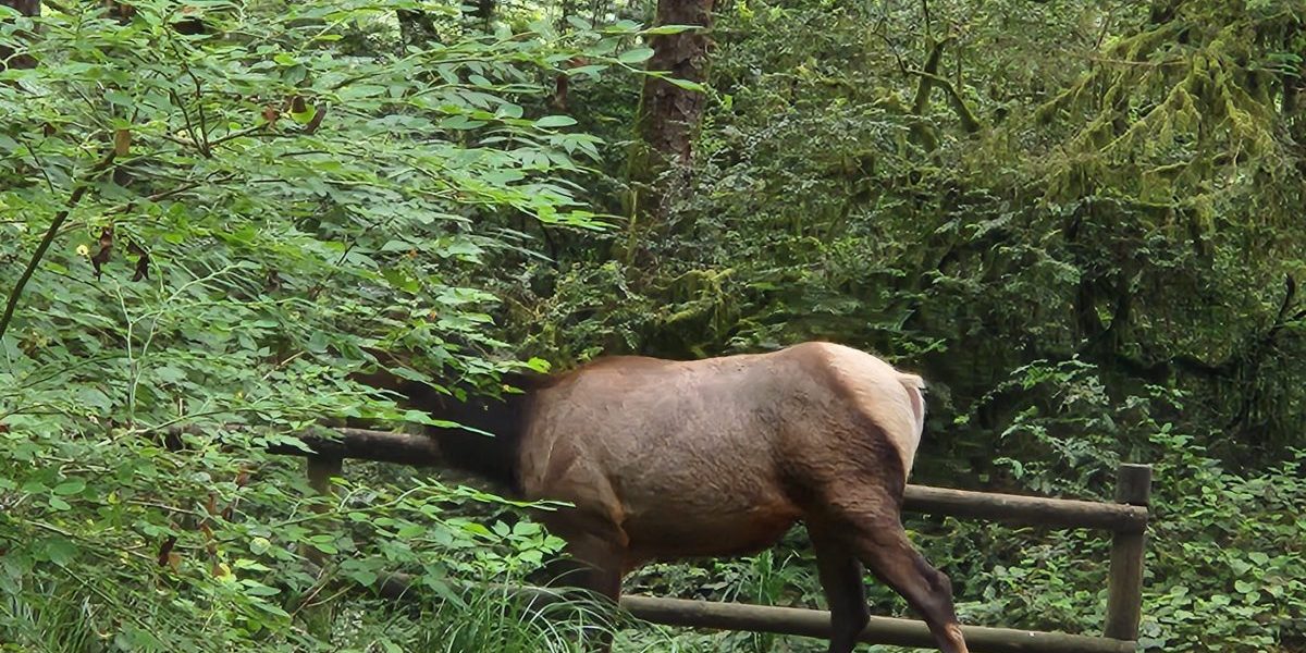 20230617_132724 Louise