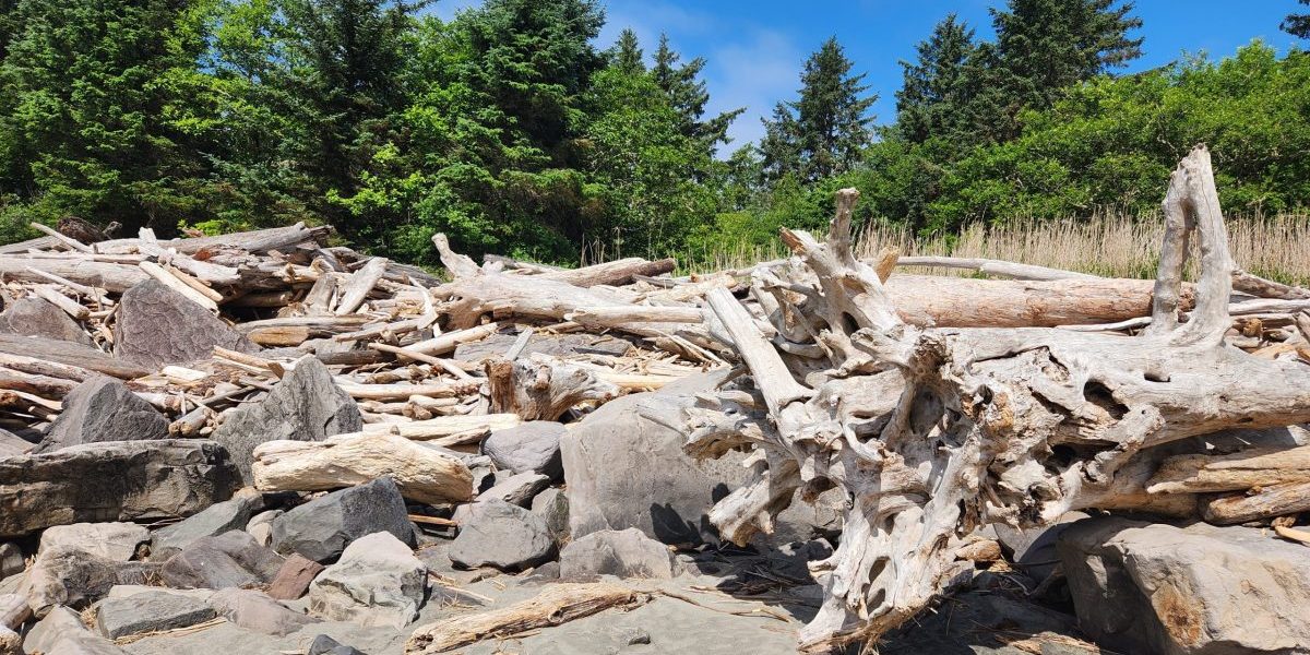 20230615_110622 the journey