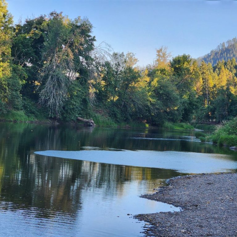 Adding value to my life